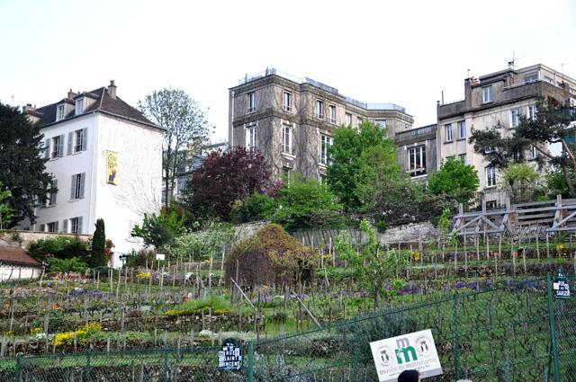 min 2013 05 02 montmartre 165